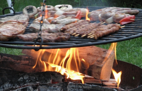 ) Grillen-2021 © Pixelio - Rainer Sturm